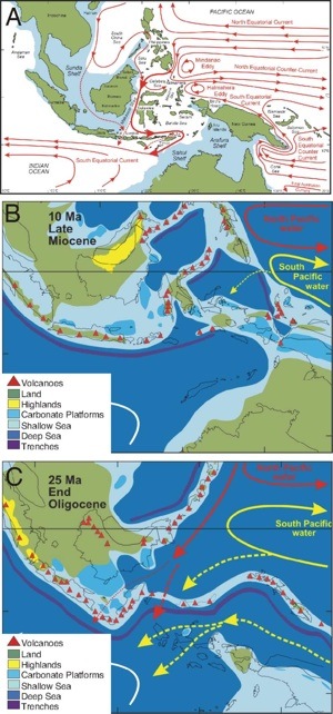 Late Miocene reconstruction of the ITF